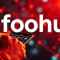 How Does Infoohub Provide Reliable Information?