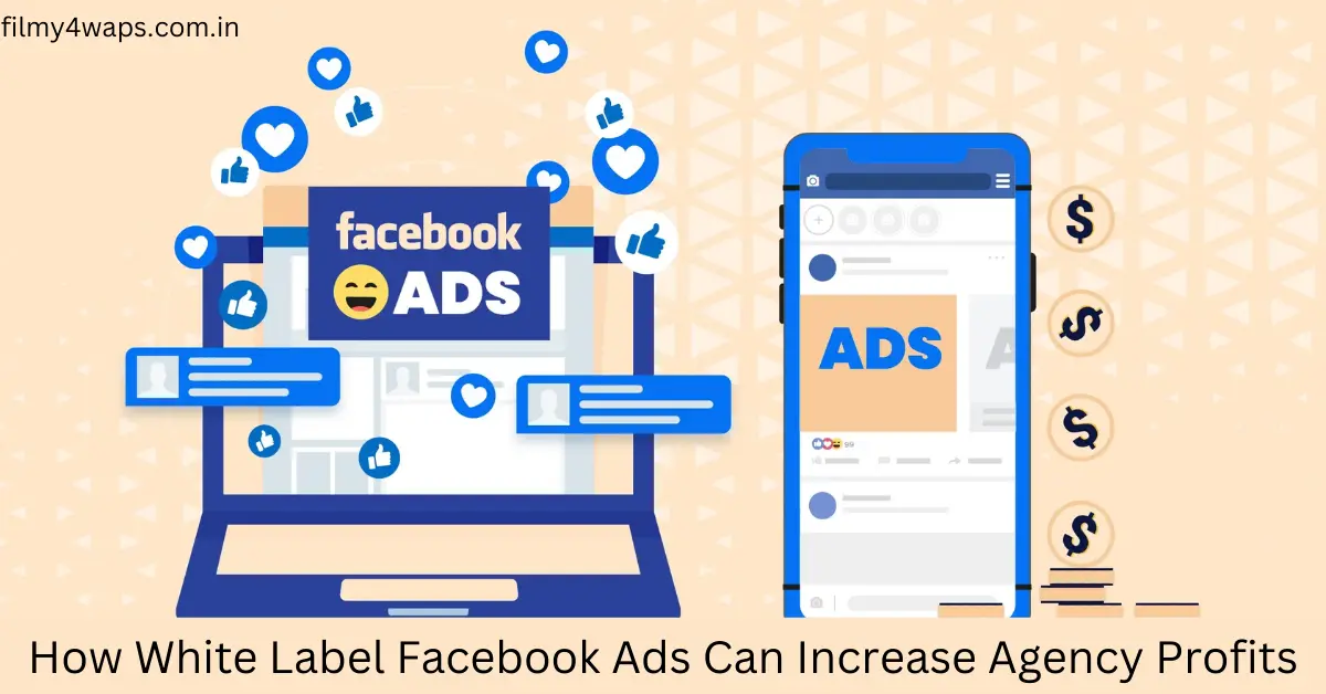 How White Label Facebook Ads Can Increase Agency Profits